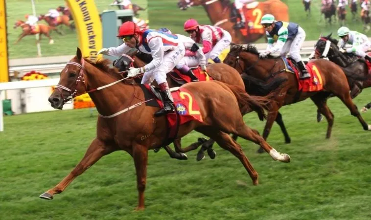 Cần tìm hiểu về bộ môn đua ngựa trước khi tham gia cá cược